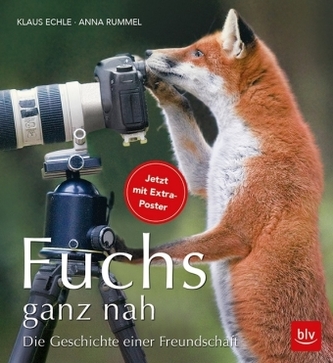 Fuchs ganz nah, m. Poster