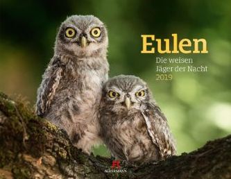 Eulen 2019