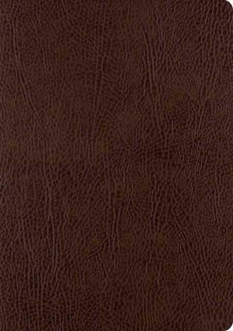 ESV Single Column Journaling Bible, Large Print