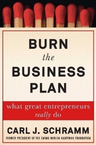 Burn the Business Plan