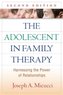 The Adolescent in Family Therapy, Second Edition