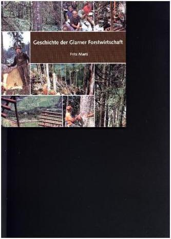 Geschichte der Glarner Forstwirtschaft