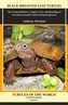 Black-breasted Leaf Turtles