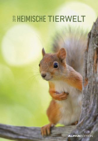Heimische Tierwelt 2019