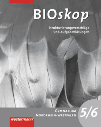5./6. Schuljahr, Strukturierungsvorschläge und Lösungen