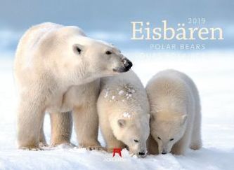 Eisbären 2019