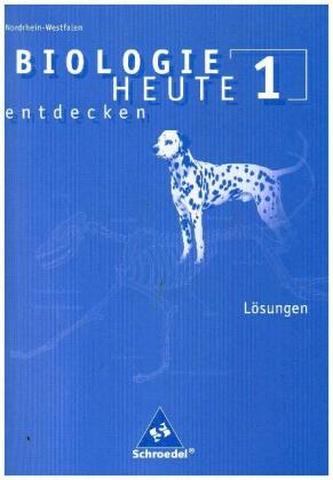 5. Schuljahr, Lösungen