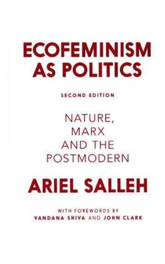 Ecofeminism as Politics