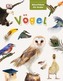 Vögel