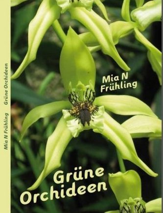 Grüne Orchideen