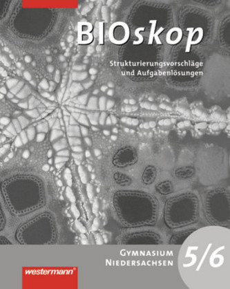 5./6. Jahrgangsstufe, Strukturierungsvorschläge und Lösungen