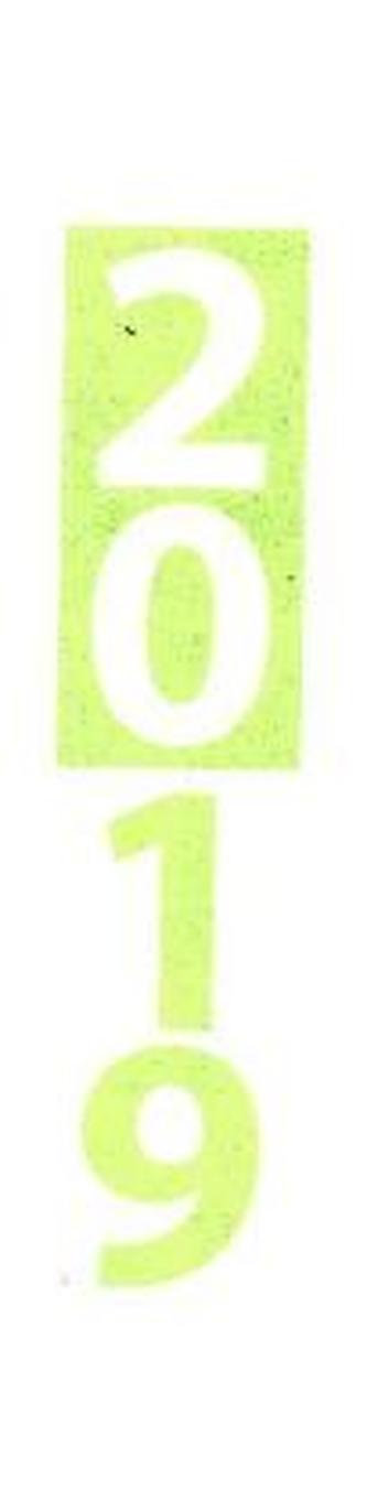 Streifenplaner Compact Grün 2019