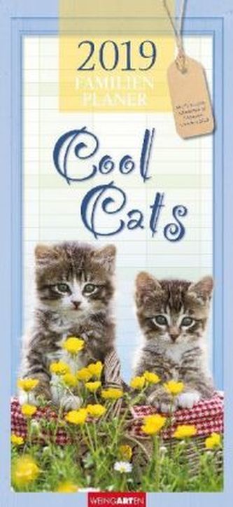 Cool Cats Familienplaner 2019