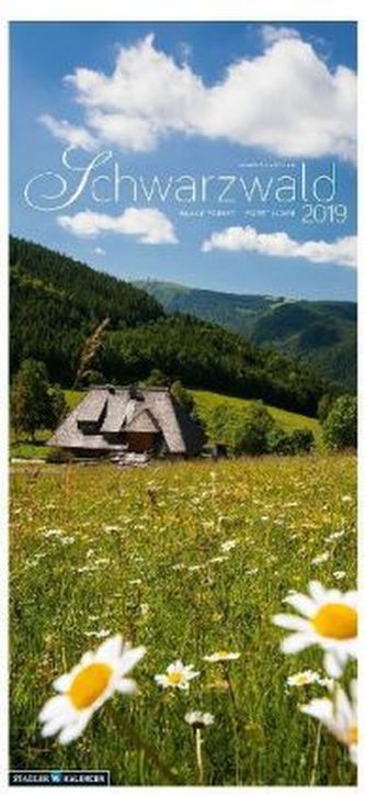 Schwarzwald Vertikal 2019