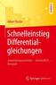 Schnelleinstieg Differentialgleichungen