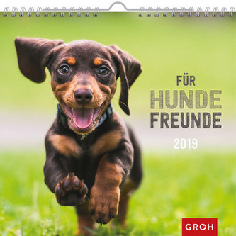 Für Hundefreunde 2019
