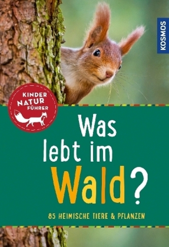 Was lebt im Wald?