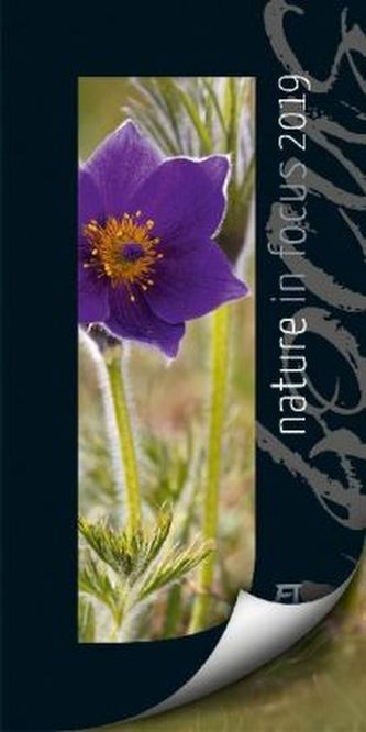 Nature in Focus 2019