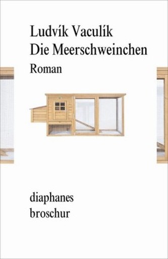 Die Meerschweinchen
