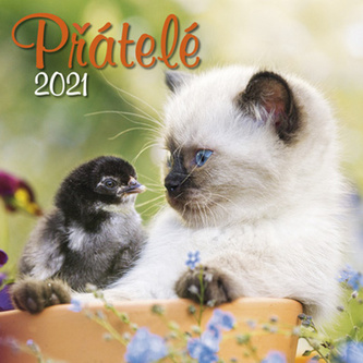 Kalendář 2021 - Přátelé, nástěnný