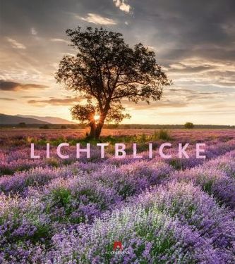 Lichtblicke 2019
