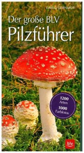 Der große BLV Pilzführer für unterwegs