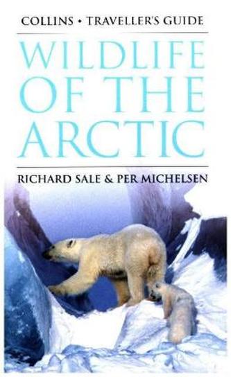 Wildlife Of The Arctic