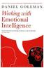 Working with Emotional Intelligence