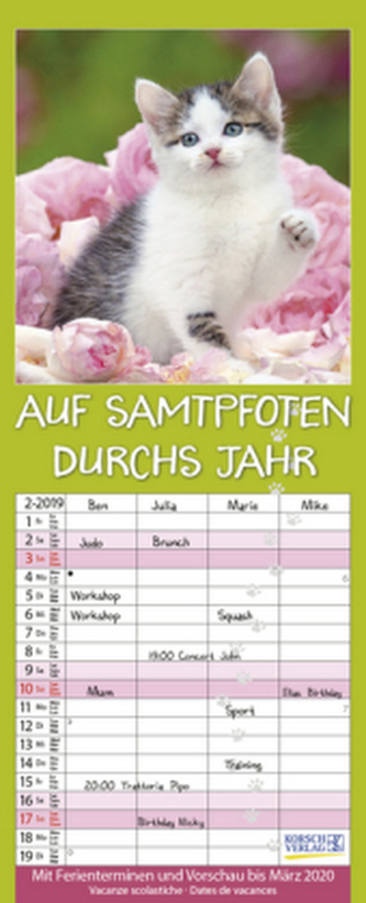 Auf Samtpfoten durch's Jahr 2019