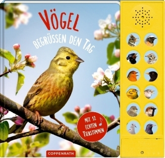 Vögel begrüßen den Tag, m. Soundeffekten