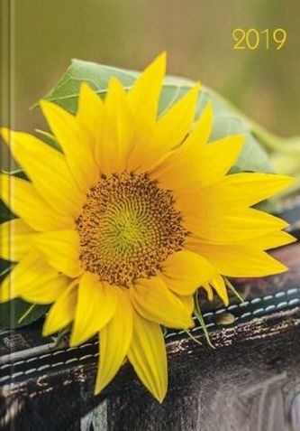 Lady-Timer Sonnenblume 2019