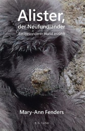 Alister, der Neufundländer
