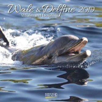 Wale und Delfine 2019
