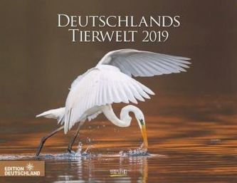 Deutschlands Tierwelt 2019
