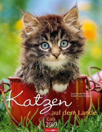 Katzen auf dem Lande 2019