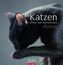 Katzen 2019