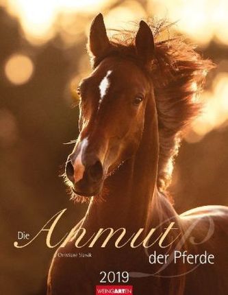 Die Anmut der Pferde 2019
