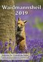 Waidmannsheil 2019
