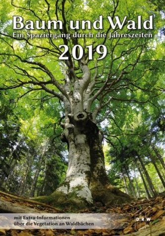 Baum und Wald 2019