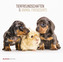 Tierfreundschaften / Animal Friendships 2019
