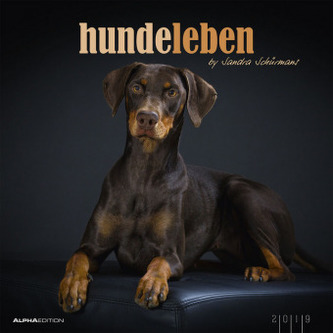Hundeleben 2019