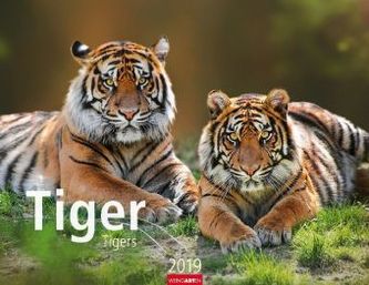 Tiger 2019