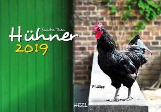 Hühner 2019