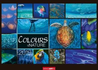 Colours of Nature 2019
