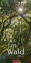 Im Wald 2019