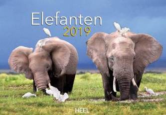 Elefanten 2019
