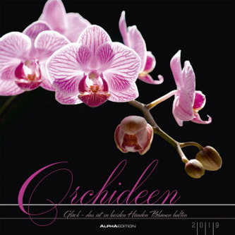 Orchideen 2019
