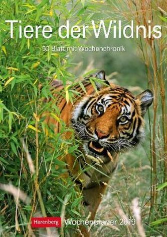 Tiere der Wildnis 2019