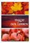 Magie der Farben 2019