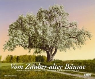 Vom Zauber alter Bäume 2019